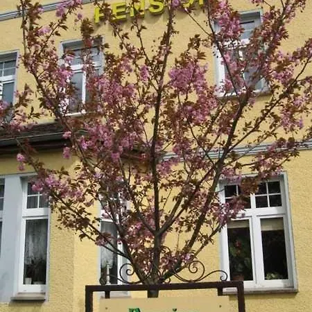 Martha Hotel